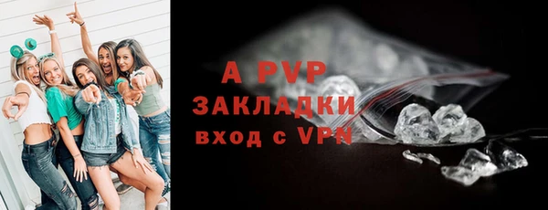 ПСИЛОЦИБИНОВЫЕ ГРИБЫ Осинники