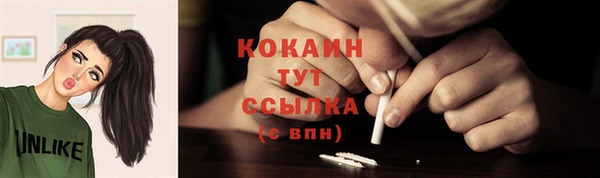 ПСИЛОЦИБИНОВЫЕ ГРИБЫ Галич