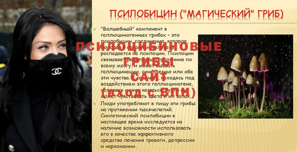 ECSTASY Гвардейск