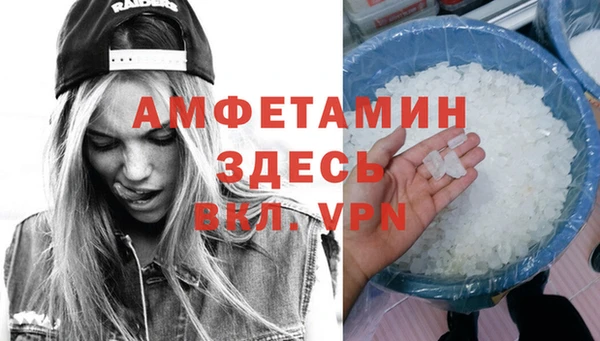 ПСИЛОЦИБИНОВЫЕ ГРИБЫ Галич