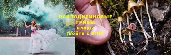 ешки Карпинск