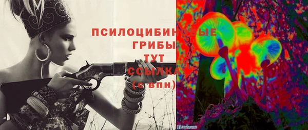 ПСИЛОЦИБИНОВЫЕ ГРИБЫ Осинники