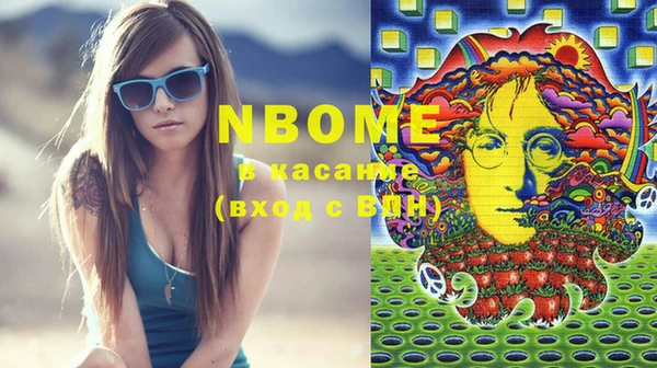 сатива Гатчина