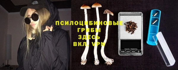 дурь Осташков