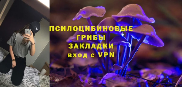 дурь Осташков