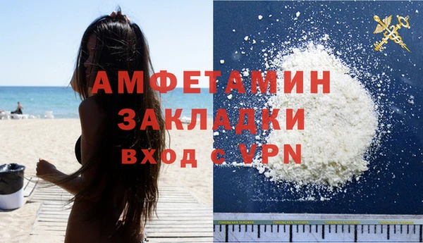 сатива Гатчина